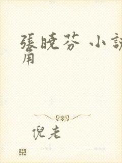 张晓芬 小说主角