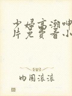 少妇高潮呻吟A片免费看小说