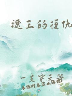 辽王的复仇小妾