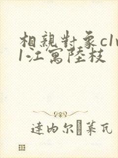 相亲对象c1v1江寓陆枝