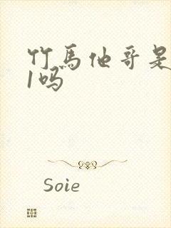 竹马他哥是1v1吗