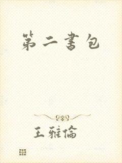 第二书包