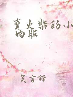 卖火柴的小男孩 肉版