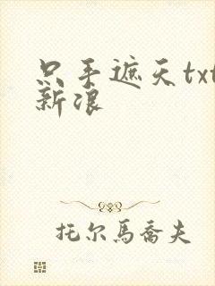 只手遮天txt新浪