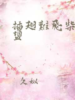 插翅难飞柴米油盐