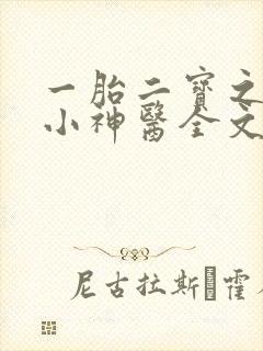 一胎二宝之弃妃小神医全文免费阅读