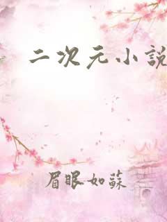 二次元小说网站