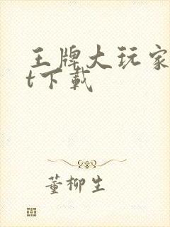 王牌大玩家txt下载