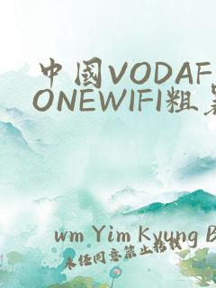 中国VODAFONEWIFI粗暴APP