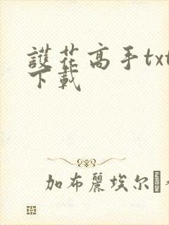 护花高手txt下载