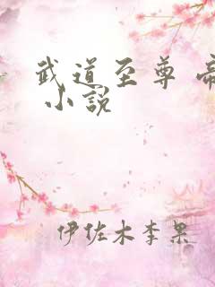 武道至尊 帝临 小说