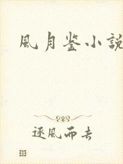 风月鉴小说论坛