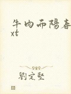 牛肉面阳春面txt