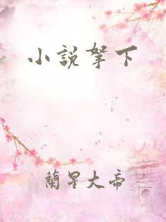 小说拿下