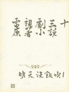 电视剧三十而已原著小说