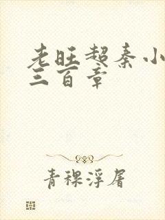 老旺超秦小雨第三百章