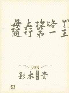 母上攻略 竹影随行第一主板