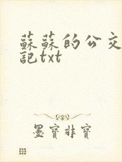 苏苏的公交车日记txt