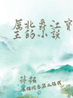 厉北爵江宝宝男主的小说