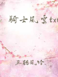 骑士风云txt