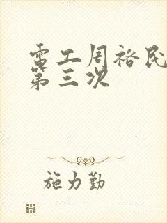 电工周裕民刘芳第三次