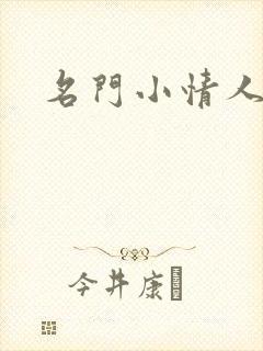名门小情人