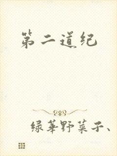 第二道纪