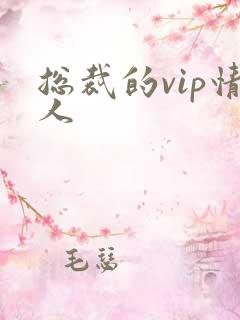 总裁的vip情人