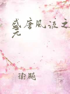 盛唐风流之武状元