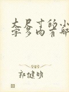 大尺寸的小黄说字多肉有哪些