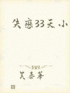 失恋33天小说