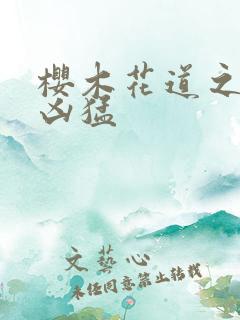 樱木花道之重生凶猛