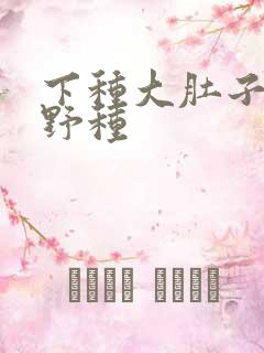 下种大肚子怀孕野种