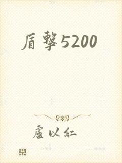 盾击5200