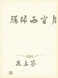 雁归西窗月小说