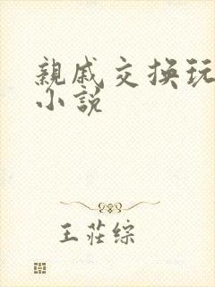 亲戚交换玩美妇小说