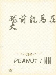 越前龙马在立海大