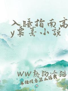 入睡指南高干by粟熹小说