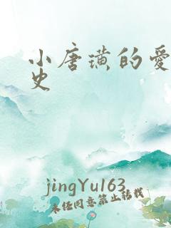 小唐璜的爱情历史