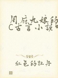 周府九娘的NPC古言小说叫什么