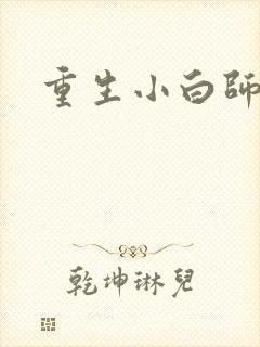 重生小白师尊