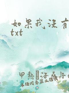 如果我没有爱过txt