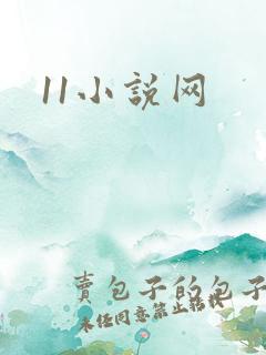 11小说网