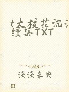 t大校花沉浮录续集TXT