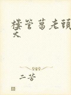 楼管葛老头的春天