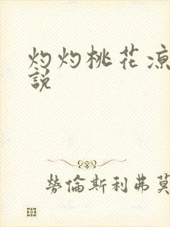 灼灼桃花凉 小说