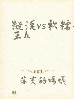 糙汉vs软糯女主h