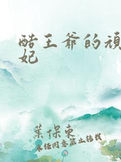 酷王爷的顽皮王妃