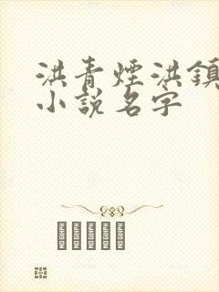 洪青烟洪镇国的小说名字