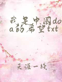 我是中国dota的希望txt